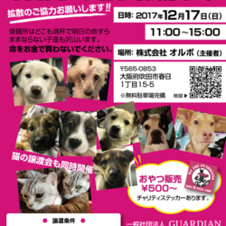 ｵﾙﾎﾞ譲渡会