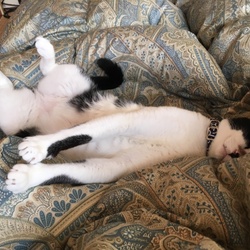 「水虫？！なんですと！？」サムネイル2