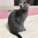 里親様決まりました