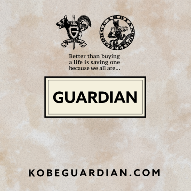 NPO法人 DOG BASEのカバー写真