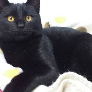 エイズキャリアの男の子です。