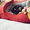 のあ。。