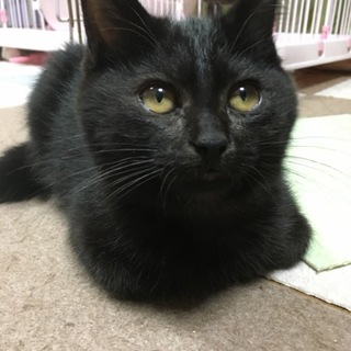 穏やかな性格のイケメン君です！