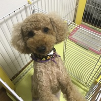 くう