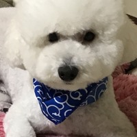 小次郎