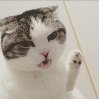 ごま