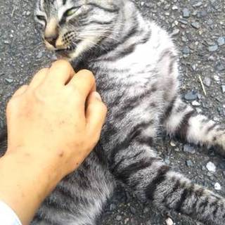 里親様が決まりました♡有難うございました！