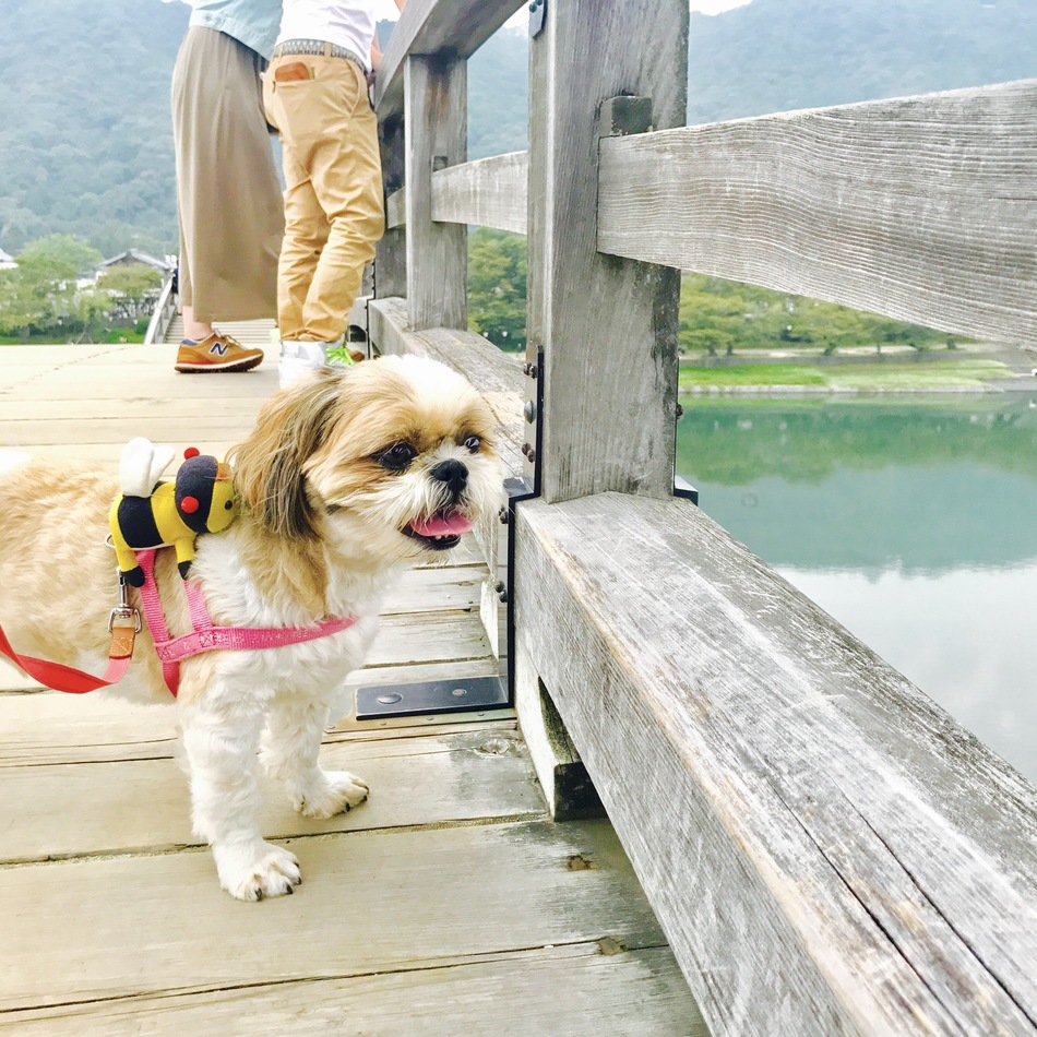 うるるのカバー写真
