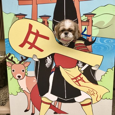 の写真