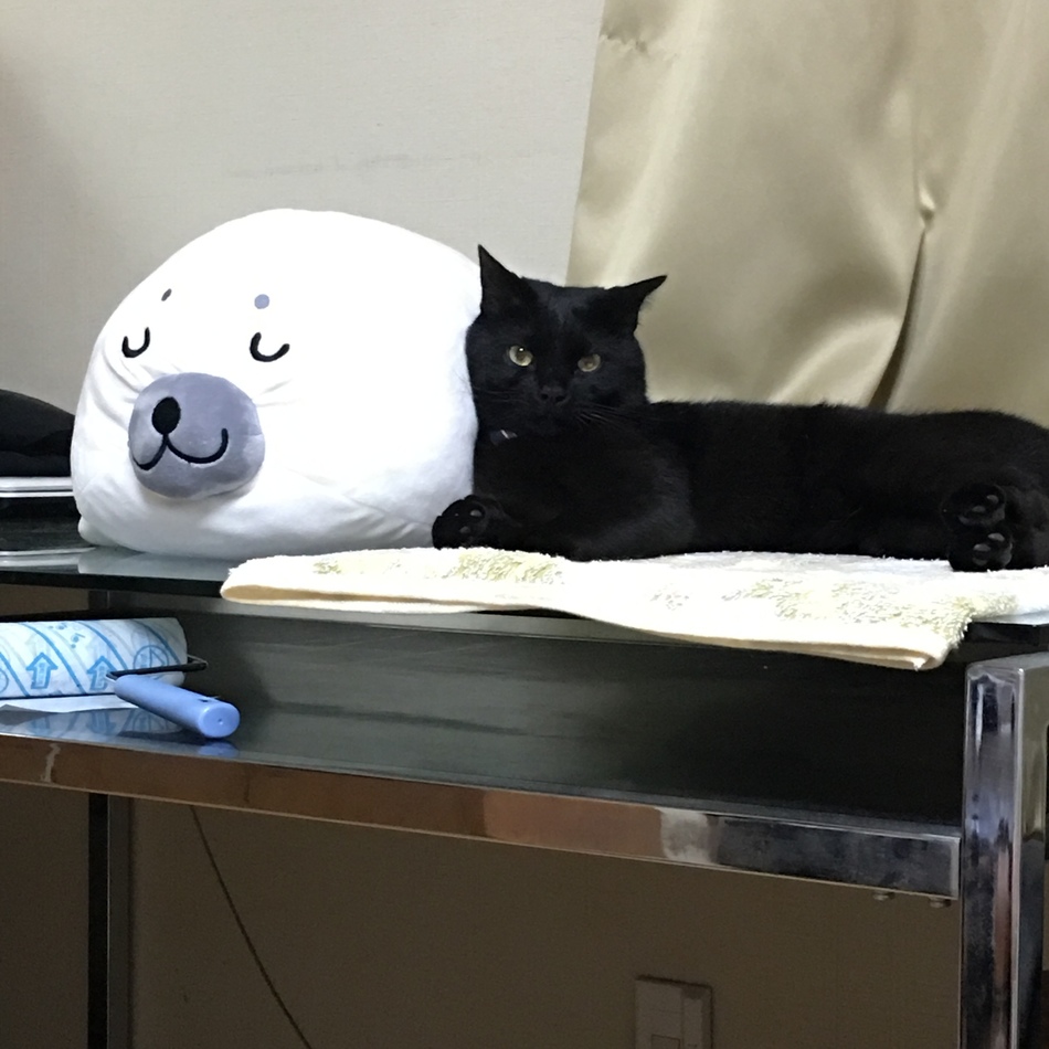 ご助のカバー写真