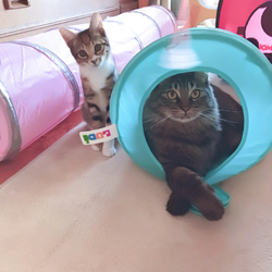 「寒さは大敵！」サムネイル2