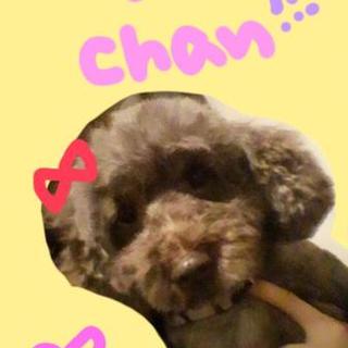 パワフルな女の子です♪