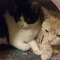 経過はたぶん順調＾＾