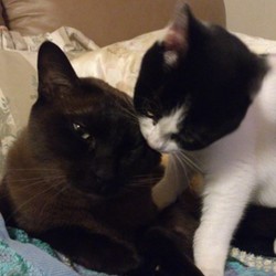 「経過はたぶん順調＾＾」サムネイル2