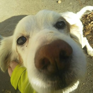 ユイくん☆美男子セッター