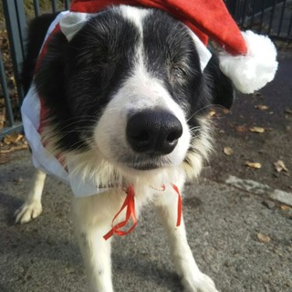 ボーちゃんかわいい女の子