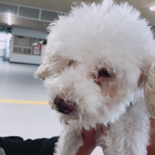 愛情を知らないこの子に愛の手を