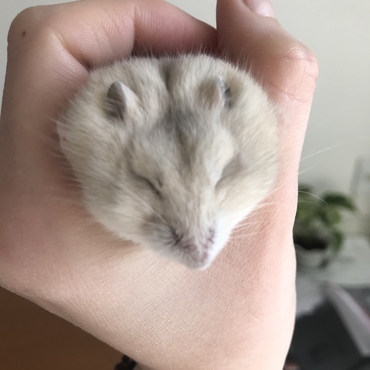 軽くもっているだけだけど面白い顔をしてくれました。