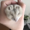 軽くもっているだけだけど面白い顔をしてくれました。
