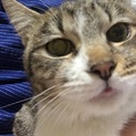初心者高齢者向け穏やか甘えん坊の仮名ヒロミちゃん