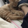 一緒にゴロゴロ(:3[_____]