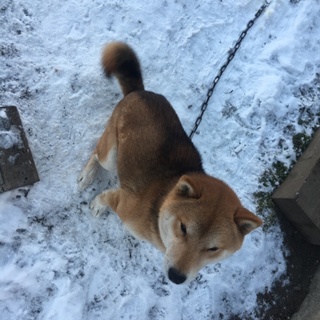 とても人懐っこい男の子です！