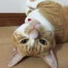  さん