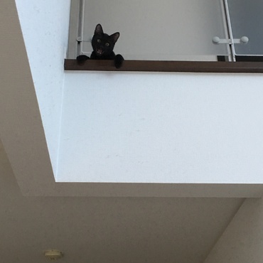 の写真