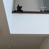 の写真