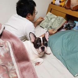 はるさんをお迎えして1カ月半