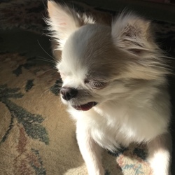 「食いしん坊が寝てる間に」サムネイル2