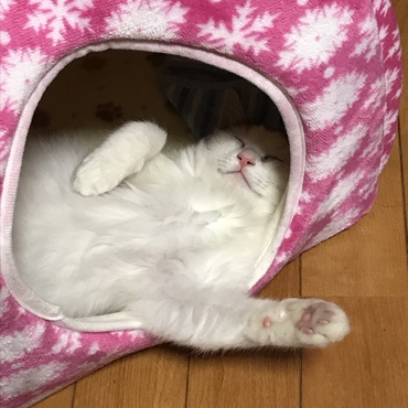 の写真