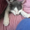 ネネかわゆす