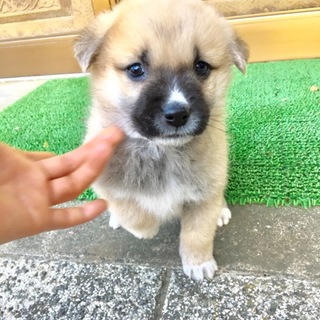 里親さま決まりました☆