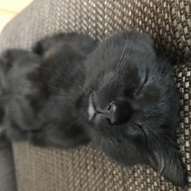 種市純也のカバー写真