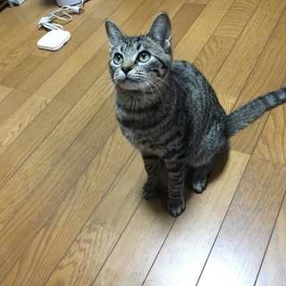 穏やかな夏萌ちゃん