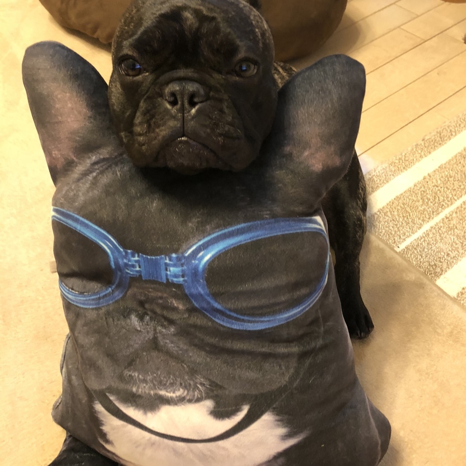 ペルのカバー写真