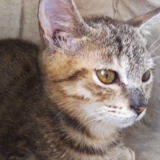 遺棄事件の最後の子