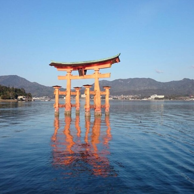 miya522のカバー写真