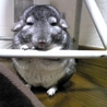 ねむー