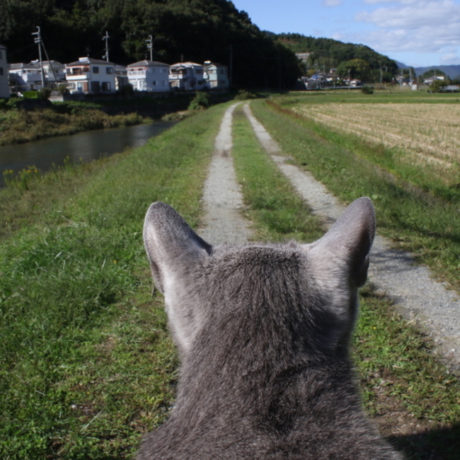 ユウキママのカバー写真