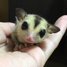 ソラマメ15