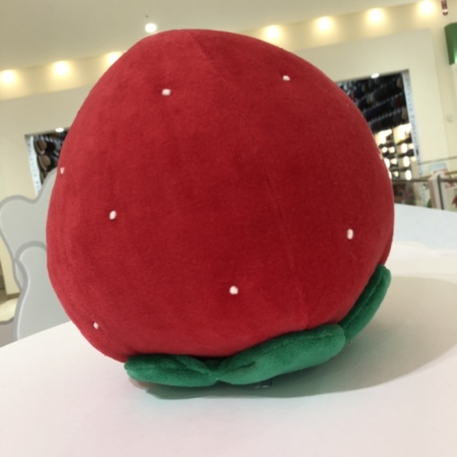 ソラマメ15のカバー写真