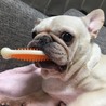 あきぃら