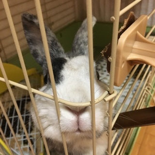 よろしくお願いします。