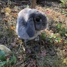 の写真