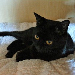 「クーちゃんの秘密の隠れ家」サムネイル1