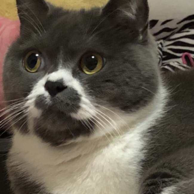 Kenken0305のカバー写真