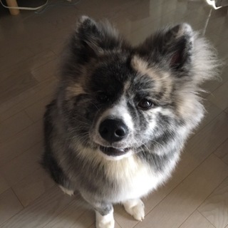 小柄な可愛い女の子