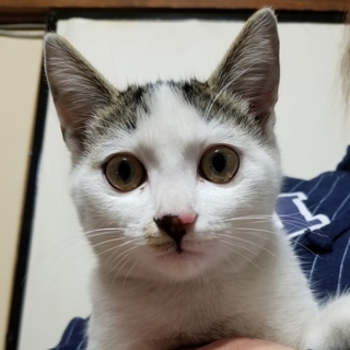 助けて下さい❗